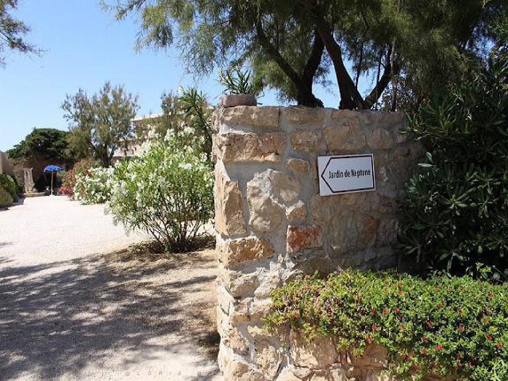 183 D33 ILE DE BENDOR_000050.jpg